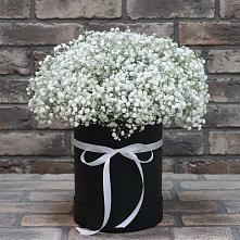 Цветочная композиция из Гипсофила в шляпной коробке #REPLACE_PRED# Баракаевской