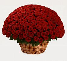 Премиум букет из: Розы в Баракаевской